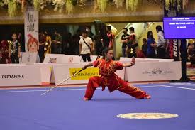 Manfaat Olahraga Wushu